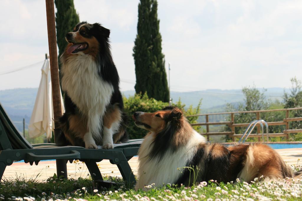 Lecchi Agriturismo Il Torrione מראה חיצוני תמונה