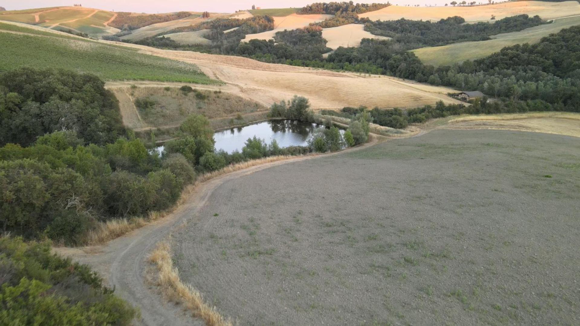 Lecchi Agriturismo Il Torrione מראה חיצוני תמונה